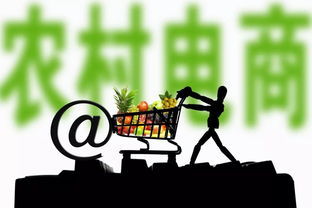 電商與軟件開發銷售 哪些領域最具盈利潛力？